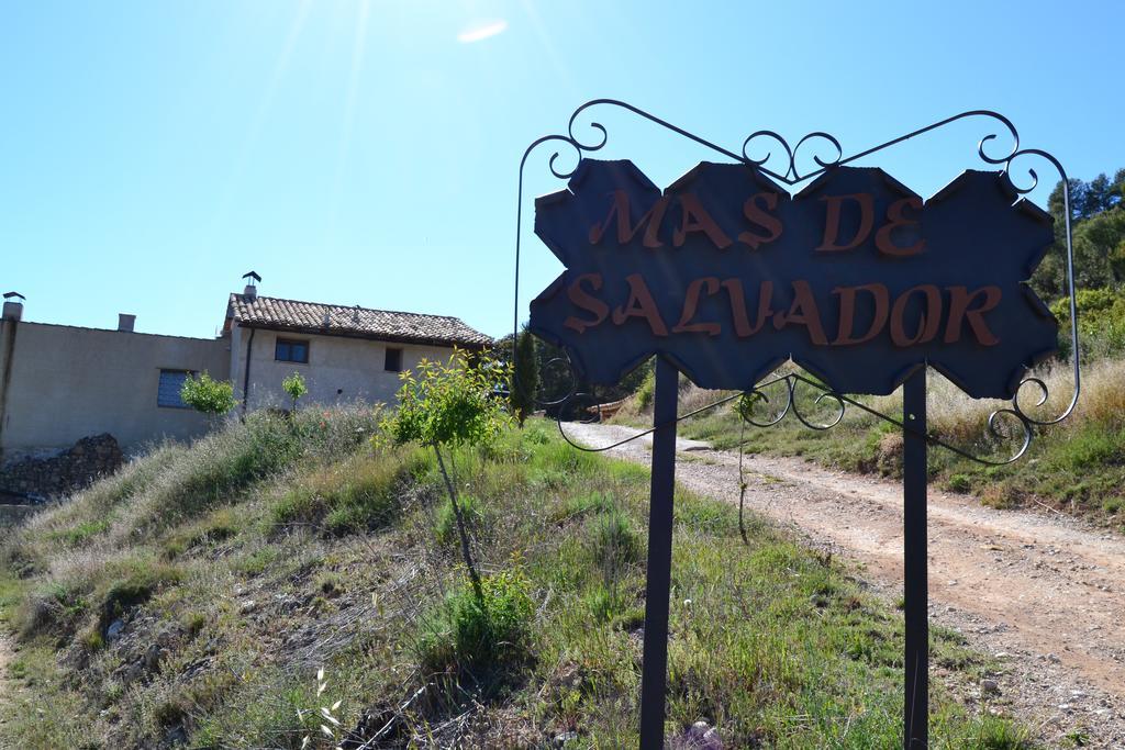 Mas De Salvador Villa Peñarroya de Tastavins Buitenkant foto